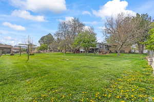 View of grassy yard