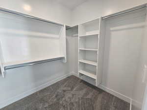 Spacious closet featuring dark carpet