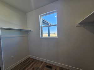 Spacious closet featuring dark wood-style flooring