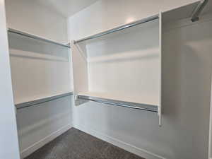 Spacious closet with dark colored carpet