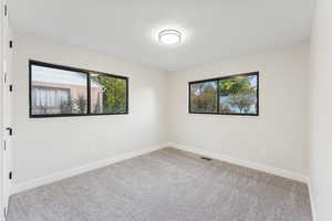 Carpeted spare room featuring plenty of natural light and a textured ceiling