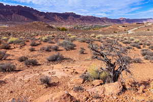 View of mountain backdrop with a desert landscape