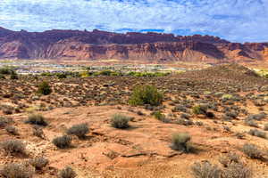 View of mountain background with a desert landscape