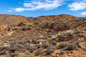 View of mountain backdrop featuring a desert landscape