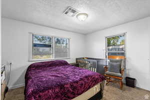 Bedroom with carpet and a textured ceiling