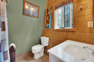 Bathroom featuring wood walls and vanity