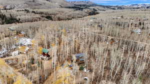 Drone / aerial view of mountains