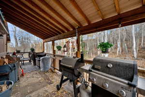 View of patio / terrace featuring grilling area