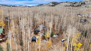 Aerial view of mountains and a heavily wooded area