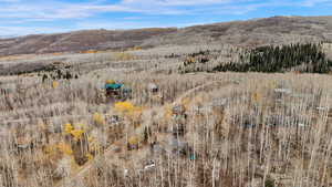 Bird's eye view of a forest and a mountainous background