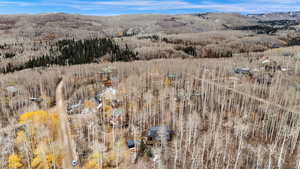 Bird's eye view of a forest and a mountain backdrop