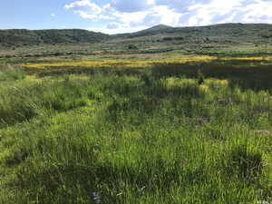 View of mountain background