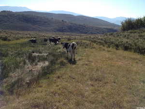View of mountain backdrop