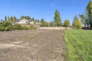 View of grassy yard