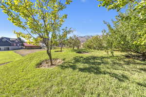 View of grassy yard featuring a mountain view