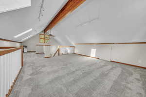 Bonus room featuring light carpet, ceiling fan, and a skylight