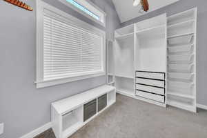 Walk in closet with light colored carpet