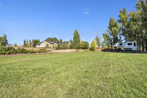 View of grassy yard