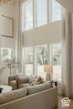 Living room with healthy amount of natural light