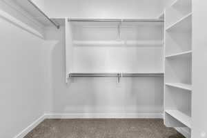 Spacious closet with carpet floors