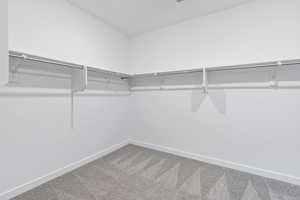 Walk in closet featuring light colored carpet