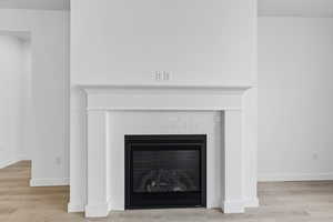 Detailed view of wood finished floors and a glass covered fireplace