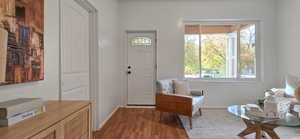 Entrance foyer with baseboards and dark wood-type flooring