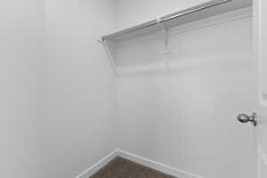 Walk in closet with carpet floors