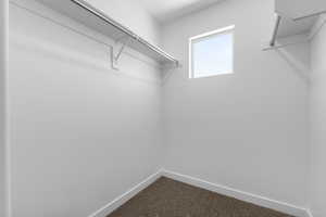 Walk in closet featuring carpet floors