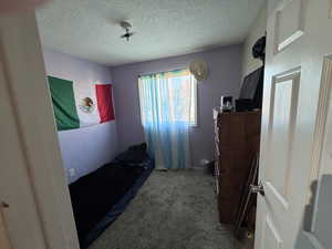 Carpeted bedroom featuring a textured ceiling