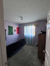 Carpeted bedroom featuring a textured ceiling