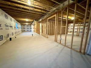 View of unfinished basement