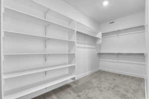 Spacious closet with light colored carpet