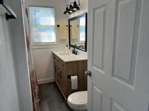 Bathroom featuring vanity, dark wood-style flooring, and a shower with shower curtain