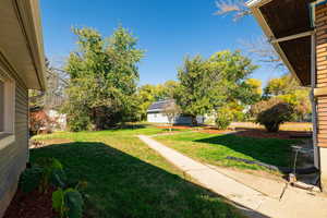 View of grassy yard