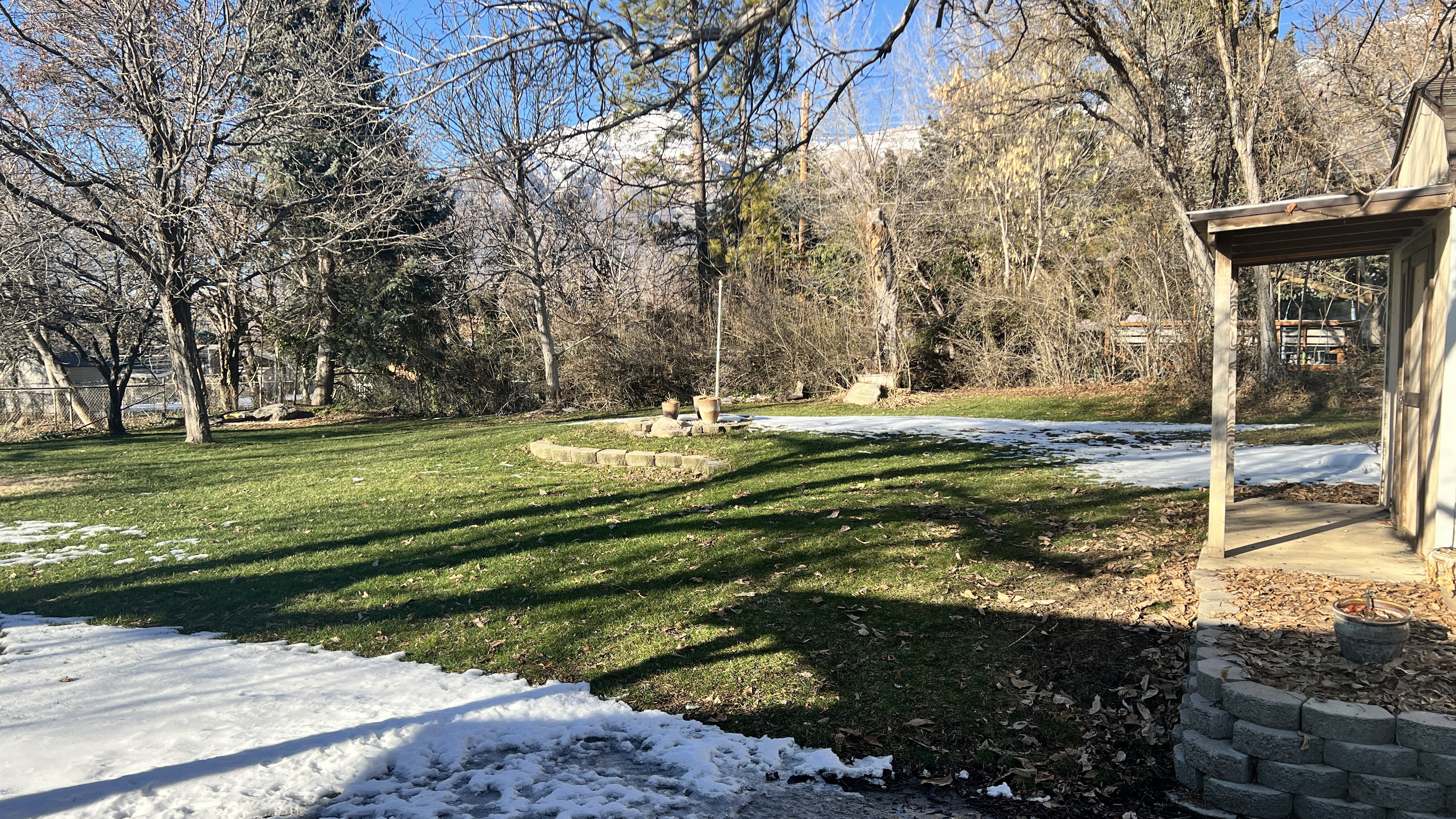 View of green lawn