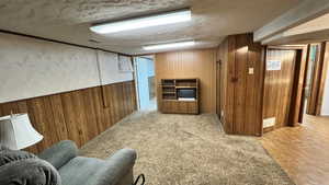 Finished basement with wooden walls, a textured ceiling, and light colored carpet
