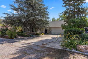 Obstructed view of property featuring a shingled roof, concrete driveway, and a garage