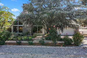 View of property hidden behind natural elements featuring concrete driveway, stone siding, and a garage