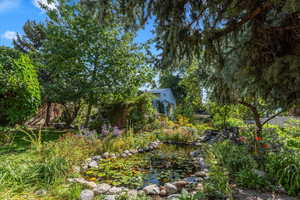 View of yard featuring a small pond