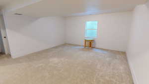 Basement living room