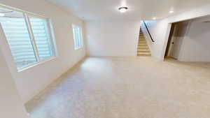 Basement living room