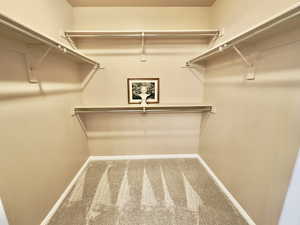 Spacious closet with carpet floors