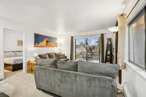 Living room featuring carpet floors and a baseboard heating unit
