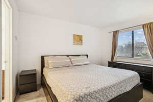 Bedroom with light colored carpet