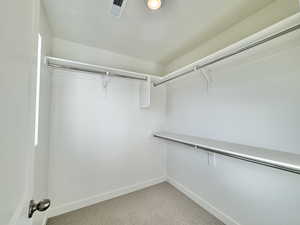 Walk in closet with light carpet