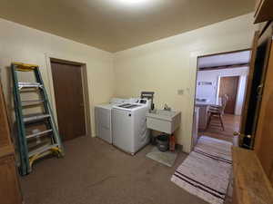 Laundry room with carpet and washer and clothes dryer