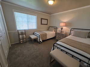 Carpeted bedroom with crown molding and a closet