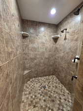 Bathroom with a tile shower