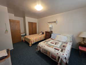 Carpeted bedroom featuring a closet